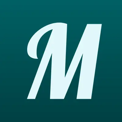 Магазин радиотехники, ИП Шишкин В.Н., лого-визитка