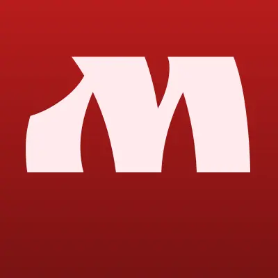 Металайн, компания, лого-визитка