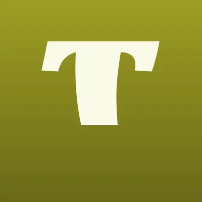 Технолидер, магазин, лого-визитка